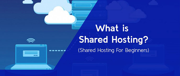 What Is Shared Hosting? Ultimate Guide for Beginners